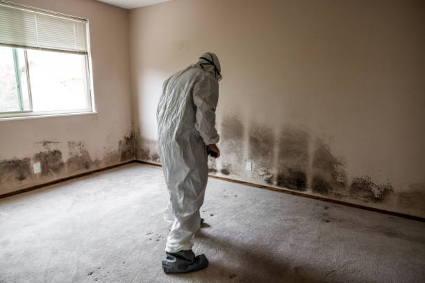 Trusted Notasulga, AL Mold Remediation Experts