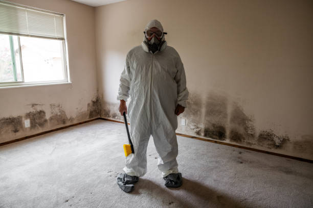 Best Attic Mold Remediation in Notasulga, AL
